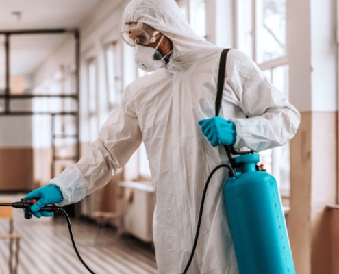 Anti-Termite-Control